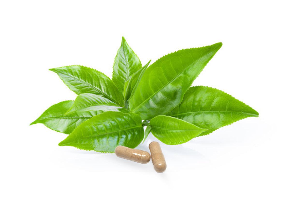 Uhibit Fibroids - 1 Month Supply